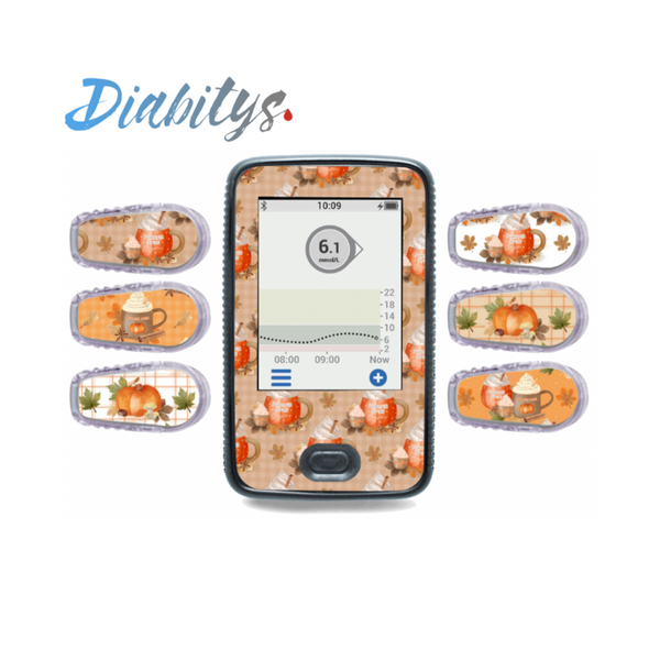 Dexcom G6 Receiver Sticker & Six Transmitter Stickers - Pumpkin Spice