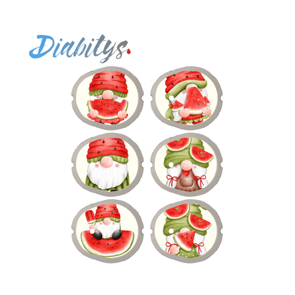 Dexcom G7 CGM 6 Pack Stickers - Watermelon Gnomes
